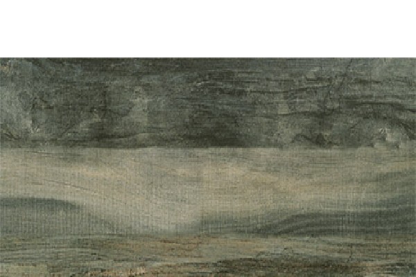 古木-3437-K1263437MA